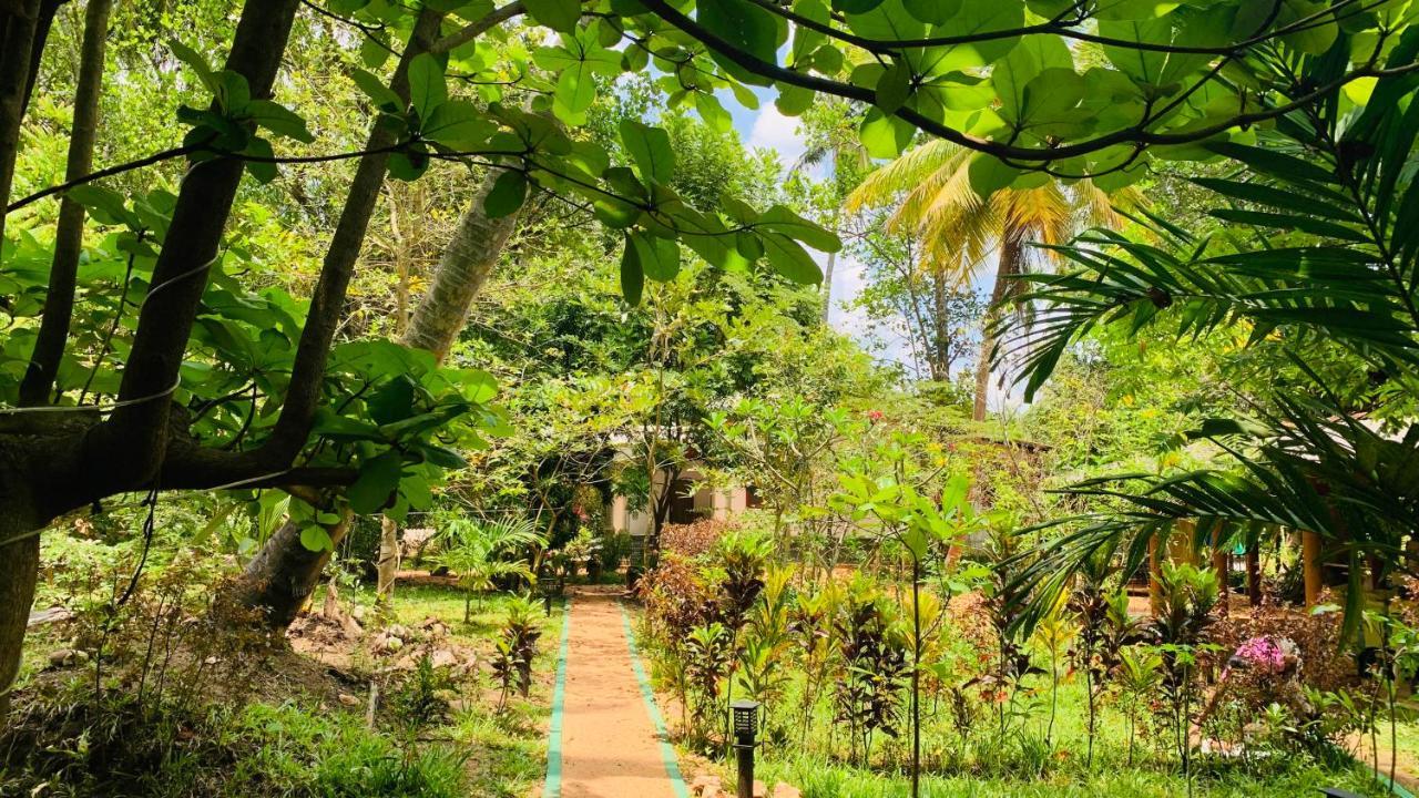 Sigiri Starwing Villa Sigiriya Exteriör bild