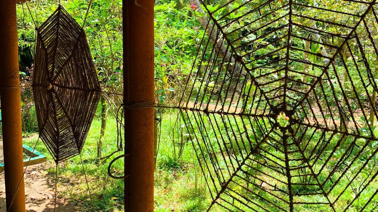 Sigiri Starwing Villa Sigiriya Exteriör bild