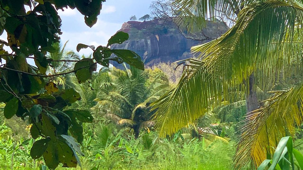 Sigiri Starwing Villa Sigiriya Exteriör bild